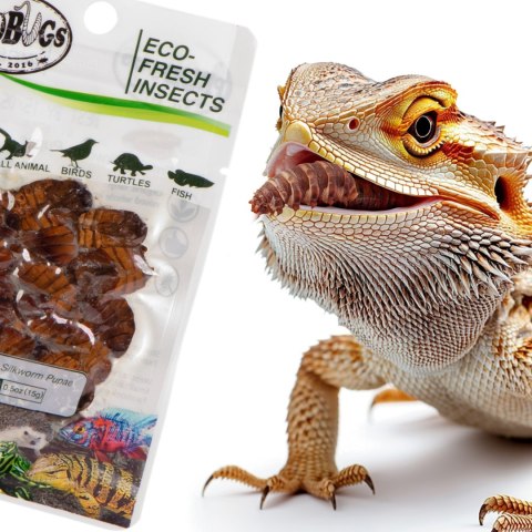 ProBugs Eco-Fresh Silkworm 15g - świeże larwy jedwabnika ProBugs ProBugs Eco-Fresh Silkworm 15g - świeże larwy jedwabnika ProBugs