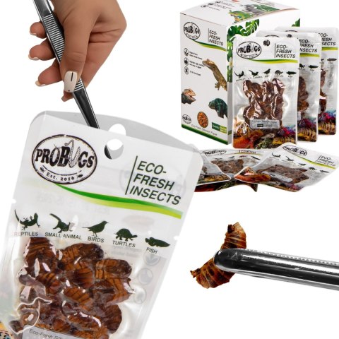 ProBugs Eco-Fresh Silkworm 15g - świeże larwy jedwabnika ProBugs ProBugs Eco-Fresh Silkworm 15g - świeże larwy jedwabnika ProBugs