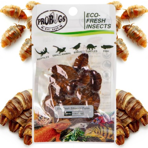 ProBugs Eco-Fresh Silkworm 15g - świeże larwy jedwabnika ProBugs ProBugs Eco-Fresh Silkworm 15g - świeże larwy jedwabnika ProBugs