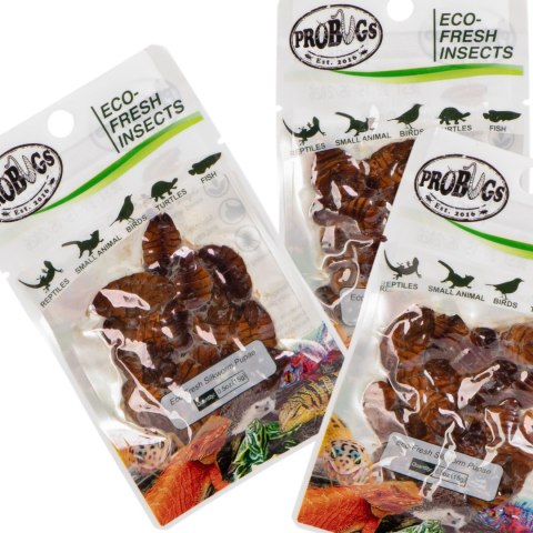 ProBugs Eco-Fresh Silkworm 15g - świeże larwy jedwabnika ProBugs ProBugs Eco-Fresh Silkworm 15g - świeże larwy jedwabnika ProBugs