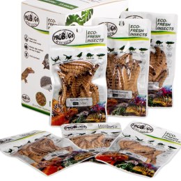 ProBugs Eco-Fresh Superworm 15 x 20g - świeże larwy drewnojada 15 saszetek ProBugs