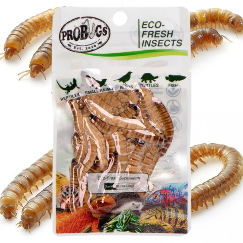 ProBugs Eco-Fresh Superworm 15 x 20g - świeże larwy drewnojada 15 saszetek ProBugs ProBugs Eco-Fresh Superworm 15 x 20g - świeże larwy drewnojada 15 saszetek ProBugs