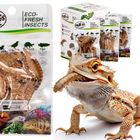 ProBugs Eco-Fresh Superworm 15 x 20g - świeże larwy drewnojada 15 saszetek ProBugs ProBugs Eco-Fresh Superworm 15 x 20g - świeże larwy drewnojada 15 saszetek ProBugs