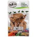 ProBugs Eco-Fresh Superworm 15 x 20g - świeże larwy drewnojada 15 saszetek ProBugs