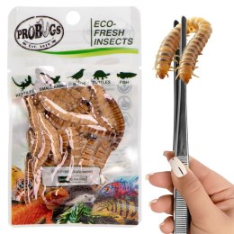 ProBugs Eco-Fresh Superworm 20g - świeże larwy drewnojada ProBugs