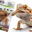 ProBugs Eco-Fresh Superworm 20g - świeże larwy drewnojada ProBugs