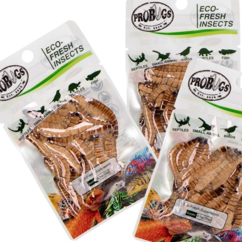 ProBugs Eco-Fresh Superworm 20g - świeże larwy drewnojada ProBugs ProBugs Eco-Fresh Superworm 20g - świeże larwy drewnojada ProBugs