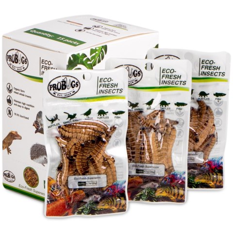 ProBugs Eco-Fresh Superworm 20g - świeże larwy drewnojada ProBugs ProBugs Eco-Fresh Superworm 20g - świeże larwy drewnojada ProBugs