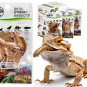 ProBugs Eco-Fresh Superworm 20g - świeże larwy drewnojada ProBugs
