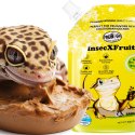 ProBugs InsecXFruits 80g - kompletna dieta pokarm i witaminy w żelu dla gadów ProBugs