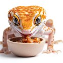 ProBugs InsecXFruits 80g - kompletna dieta pokarm i witaminy w żelu dla gadów ProBugs