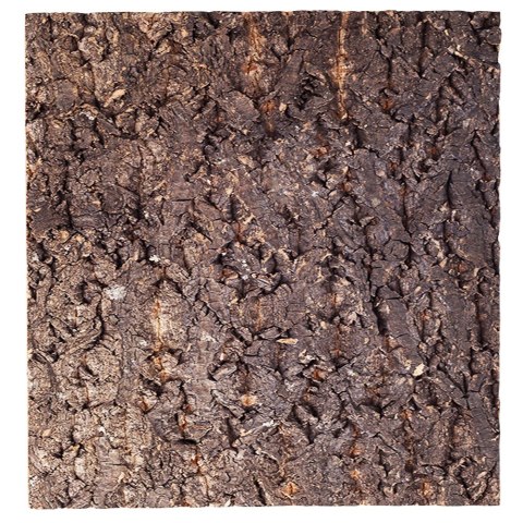 Repti-Zoo Big Tree Background - tło z kory do terrarium 30x30cm Repti-Zoo