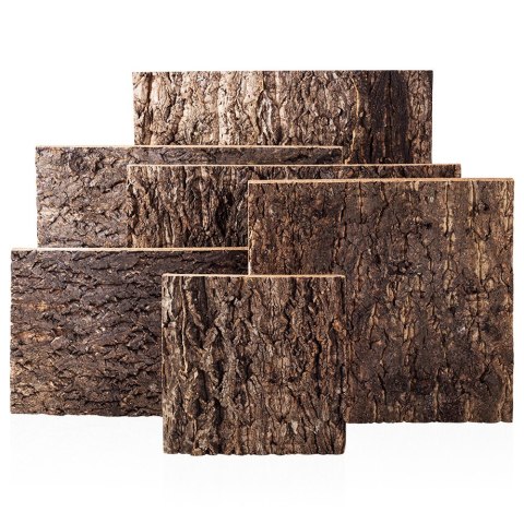 Repti-Zoo Big Tree Background - tło z kory do terrarium 30x30cm Repti-Zoo Repti-Zoo Big Tree Background - tło z kory do terrarium 30x30cm Repti-Zoo