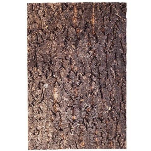 Repti-Zoo Big Tree Background - tło z kory do terrarium 30x45cm Repti-Zoo
