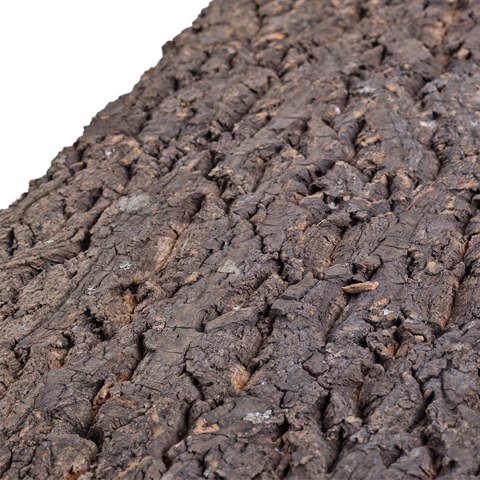 Repti-Zoo Big Tree Background - tło z kory do terrarium 45x45cm Repti-Zoo Repti-Zoo Big Tree Background - tło z kory do terrarium 45x45cm Repti-Zoo