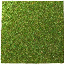 Repti-Zoo Natural Moss Back&Bottom - tło i podłoże z mchu 45x45cm Repti-Zoo