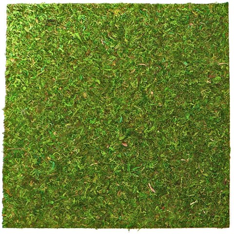 Repti-Zoo Natural Moss Back&Bottom - tło i podłoże z mchu 45x45cm Repti-Zoo