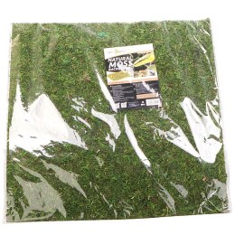 Repti-Zoo Natural Moss Back&Bottom - tło i podłoże z mchu 45x45cm Repti-Zoo