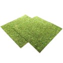 Repti-Zoo Natural Moss Back&Bottom - tło i podłoże z mchu 45x45cm Repti-Zoo