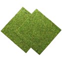 Repti-Zoo Natural Moss Back&Bottom - tło i podłoże z mchu 45x45cm Repti-Zoo