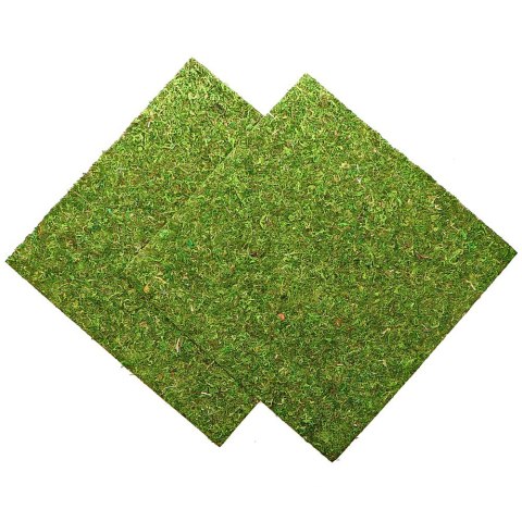 Repti-Zoo Natural Moss Back&Bottom - tło i podłoże z mchu 45x45cm Repti-Zoo Repti-Zoo Natural Moss Back&Bottom - tło i podłoże z mchu 45x45cm Repti-Zoo