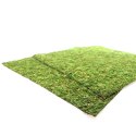 Repti-Zoo Natural Moss Back&Bottom - tło i podłoże z mchu 45x45cm Repti-Zoo