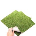 Repti-Zoo Natural Moss Back&Bottom - tło i podłoże z mchu 45x45cm Repti-Zoo