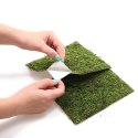Repti-Zoo Natural Moss Back&Bottom - tło i podłoże z mchu 45x45cm Repti-Zoo