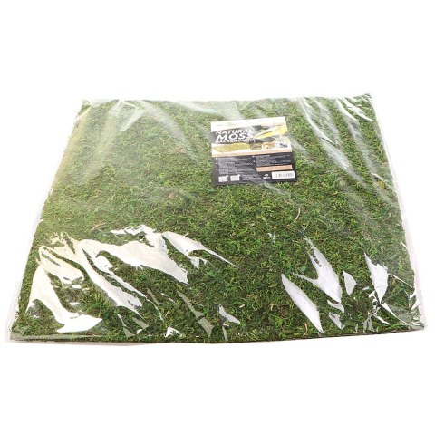 Repti-Zoo Natural Moss Back&Bottom - tło i podłoże z mchu 45x45cm Repti-Zoo Repti-Zoo Natural Moss Back&Bottom - tło i podłoże z mchu 45x45cm Repti-Zoo
