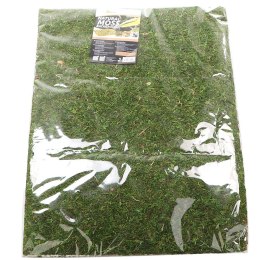 Repti-Zoo Natural Moss Back&Bottom - tło i podłoże z mchu 50x25cm Repti-Zoo