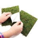 Repti-Zoo Natural Moss Back&Bottom - tło i podłoże z mchu 50x25cm Repti-Zoo