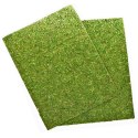 Repti-Zoo Natural Moss Back&Bottom - tło i podłoże z mchu 50x25cm Repti-Zoo