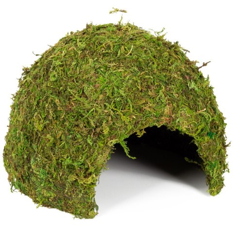 Repti-Zoo Natural Mossy Dome L - kryjówka z mchu Repti-Zoo Repti-Zoo Natural Mossy Dome L - kryjówka z mchu Repti-Zoo