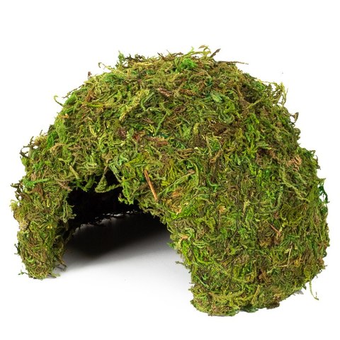 Repti-Zoo Natural Mossy Dome M - kryjówka z mchu Repti-Zoo