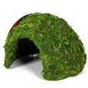 Repti-Zoo Natural Mossy Dome M - kryjówka z mchu Repti-Zoo