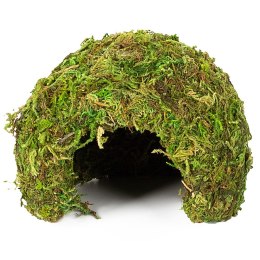 Repti-Zoo Natural Mossy Dome S - kryjówka z mchu Repti-Zoo