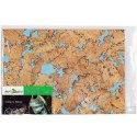 Repti-Zoo Sky Forest Background 20x30cm Repti-Zoo
