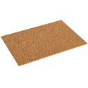 Repti-Zoo Sky Forest Background 20x30cm Repti-Zoo