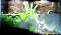 Repti-Zoo TerraFog - generator mgły z podświetleniem Repti-Zoo