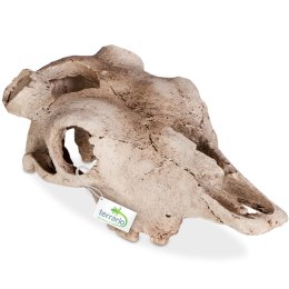 Terrario Buffalo Skull - czaszka bizona do terrarium 21x12x8 cm Terrario
