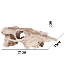 Terrario Buffalo Skull - czaszka bizona do terrarium 21x12x8 cm Terrario
