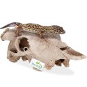 Terrario Buffalo Skull - czaszka bizona do terrarium 21x12x8 cm Terrario