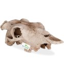 Terrario Buffalo Skull - czaszka bizona do terrarium 21x12x8 cm Terrario