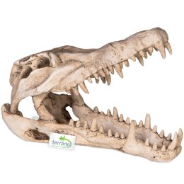 Terrario Crocodile Skull XL - czaszka krokodyla do terrarium 23x11x16 cm Terrario