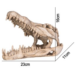 Terrario Crocodile Skull XL - czaszka krokodyla do terrarium 23x11x16 cm Terrario