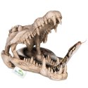Terrario Crocodile Skull XL - czaszka krokodyla do terrarium 23x11x16 cm Terrario Terrario Crocodile Skull XL - czaszka krokodyla do terrarium 23x11x16 cm Terrario