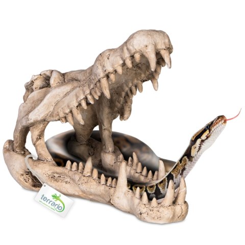 Terrario Crocodile Skull XL - czaszka krokodyla do terrarium 23x11x16 cm Terrario Terrario Crocodile Skull XL - czaszka krokodyla do terrarium 23x11x16 cm Terrario