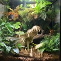 Terrario Crocodile Skull XL - czaszka krokodyla do terrarium 23x11x16 cm Terrario Terrario Crocodile Skull XL - czaszka krokodyla do terrarium 23x11x16 cm Terrario