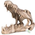 Terrario Crocodile Skull XL - czaszka krokodyla do terrarium 23x11x16 cm Terrario Terrario Crocodile Skull XL - czaszka krokodyla do terrarium 23x11x16 cm Terrario
