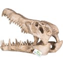 Terrario Crocodile Skull XL - czaszka krokodyla do terrarium 23x11x16 cm Terrario Terrario Crocodile Skull XL - czaszka krokodyla do terrarium 23x11x16 cm Terrario